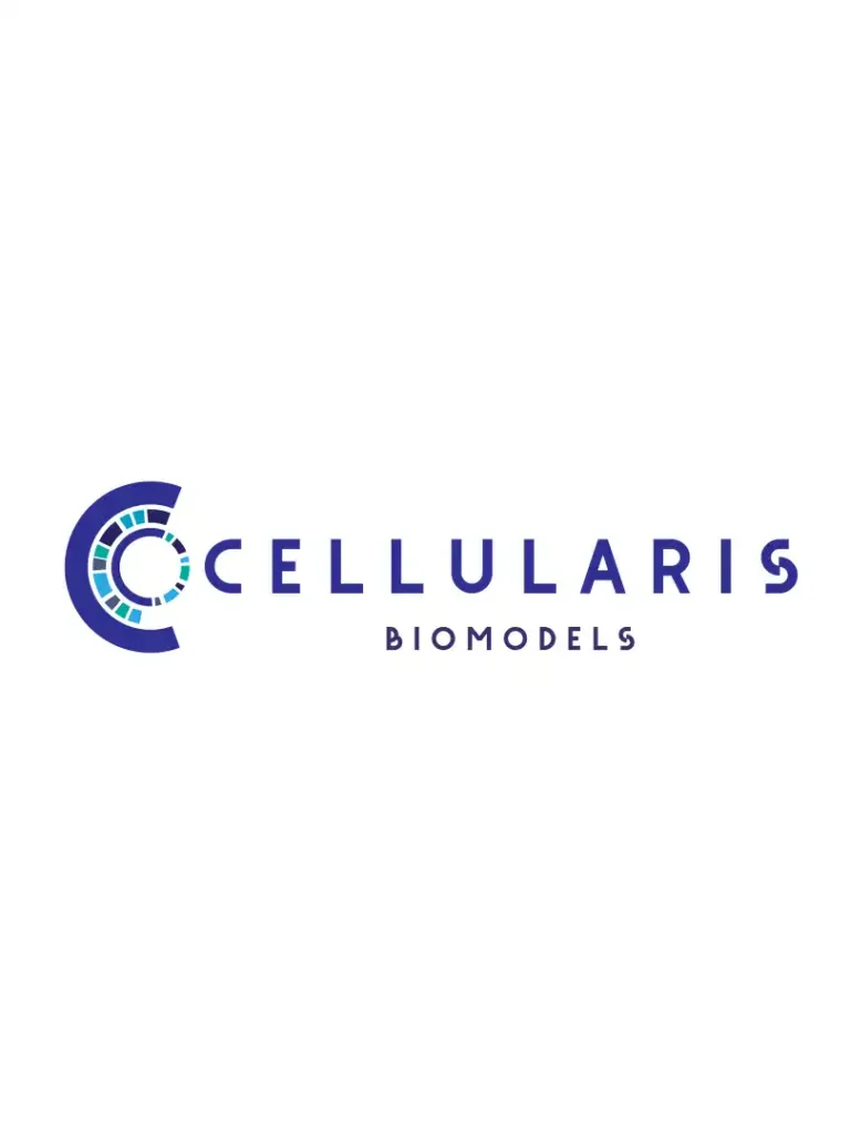 Logo branding of Cellularis Biomodels