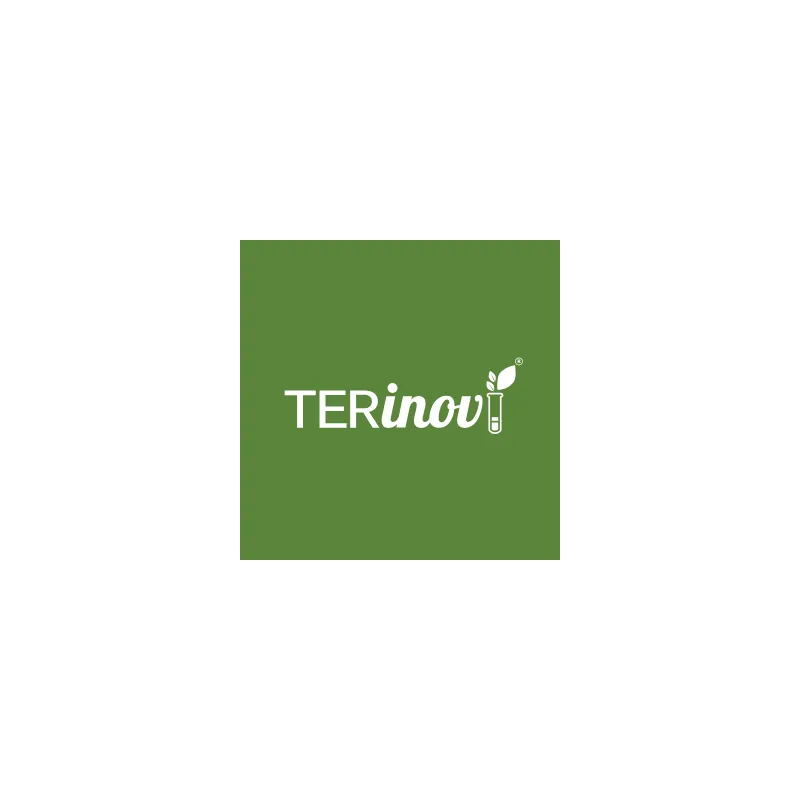 Logo branding of Terinov